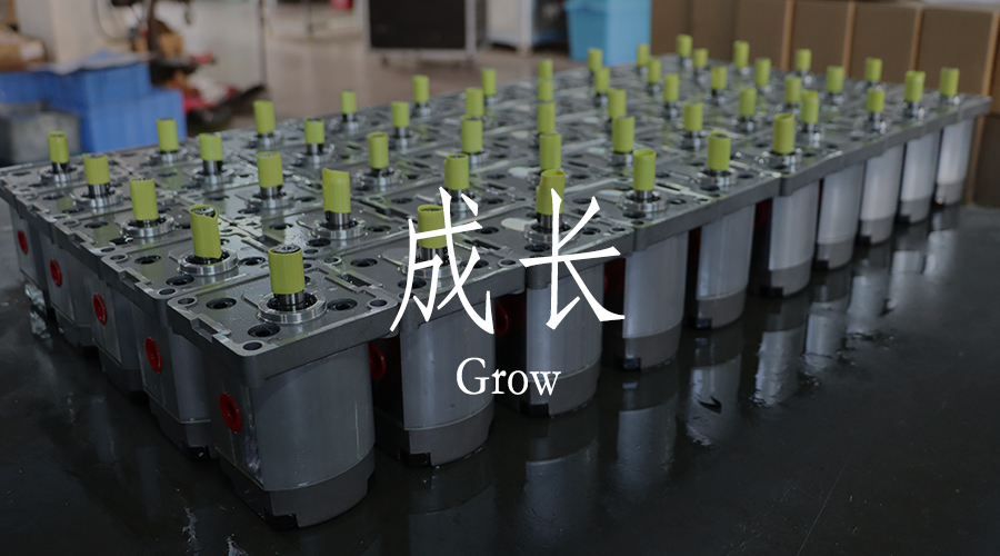 NNT：聚焦團(tuán)隊(duì)建設(shè)，促使專業(yè)成長