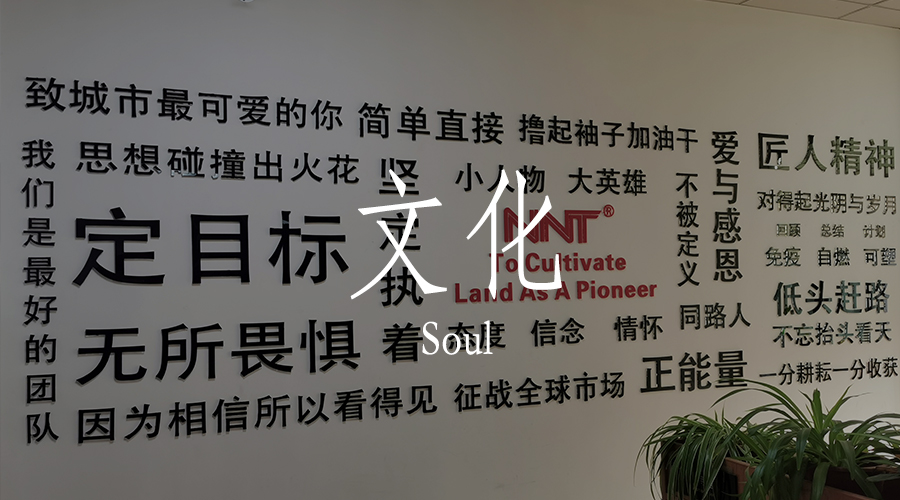 諾能泰文化建設1.0階段：萌芽初綻